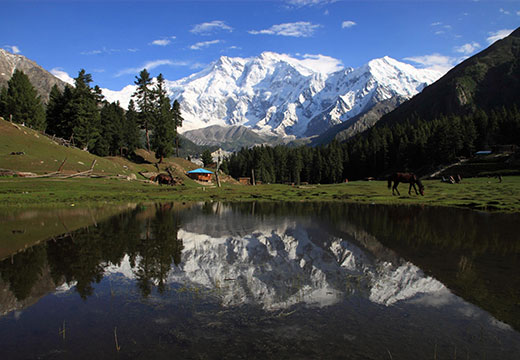 Fairy Meadows - Hunza - Skardu valley tour